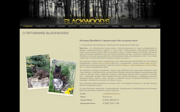 Питомник "blackwoods" (Москва) - ООО Автоматизация - 1С франчайзи - Битрикс